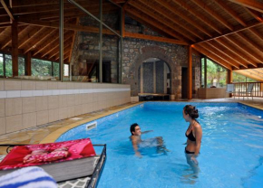 Отель Hotel La Sapinière  Бриуд